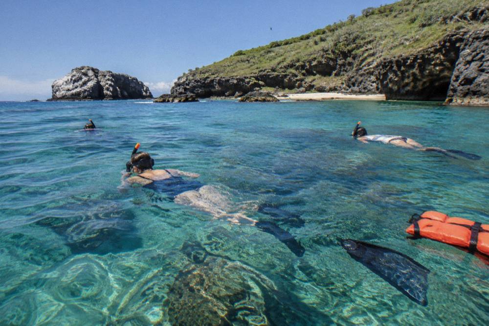 Snorkelers floating over a rocky reef in clear turquoise water near an island shoreline