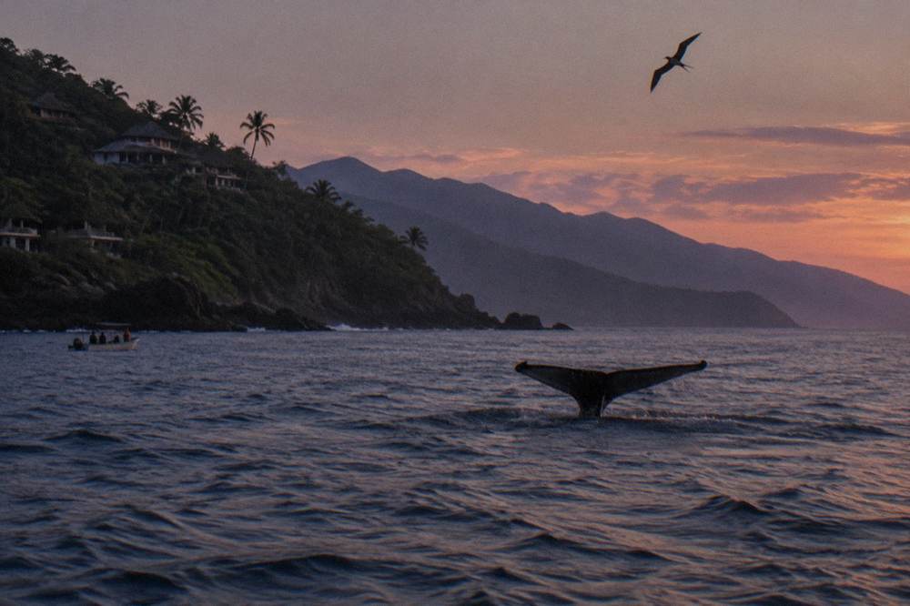 Whale tail rising above dark water with distant mountains behind