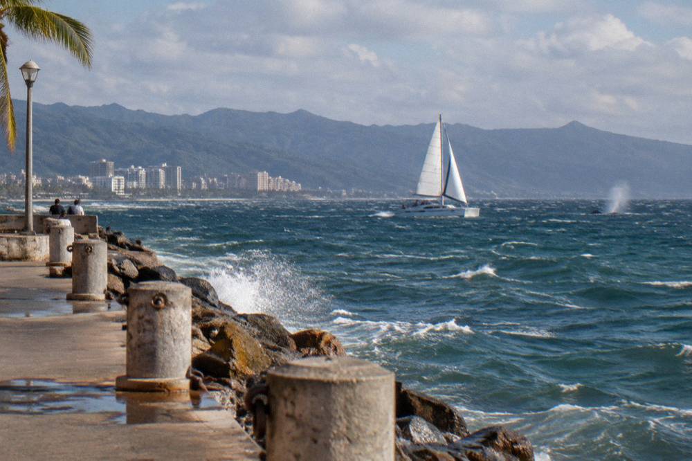 A catamaran under sail on open water in Banderas Bay with distant humpback whales spouting near the horizon