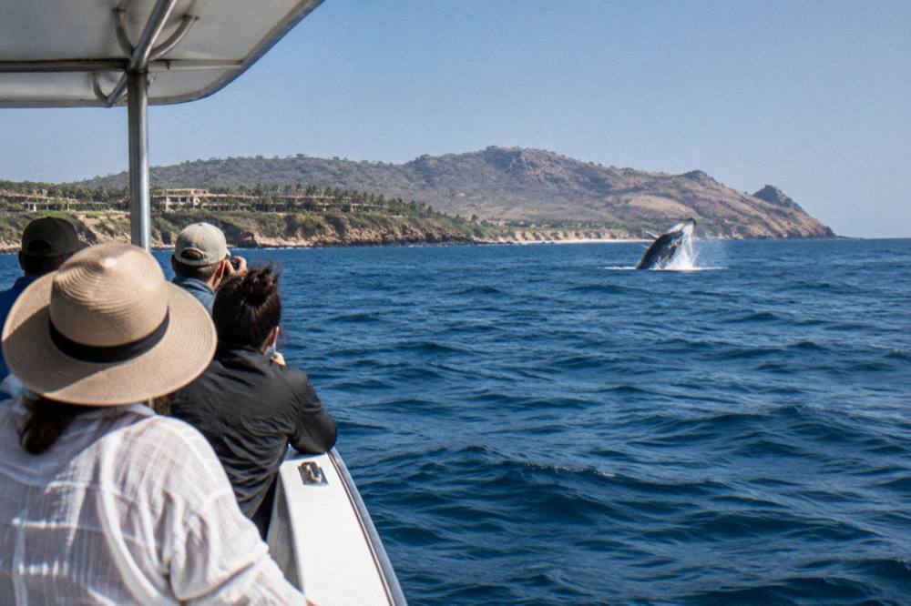 Small tour boat with passengers on open blue water near a distant whale splash