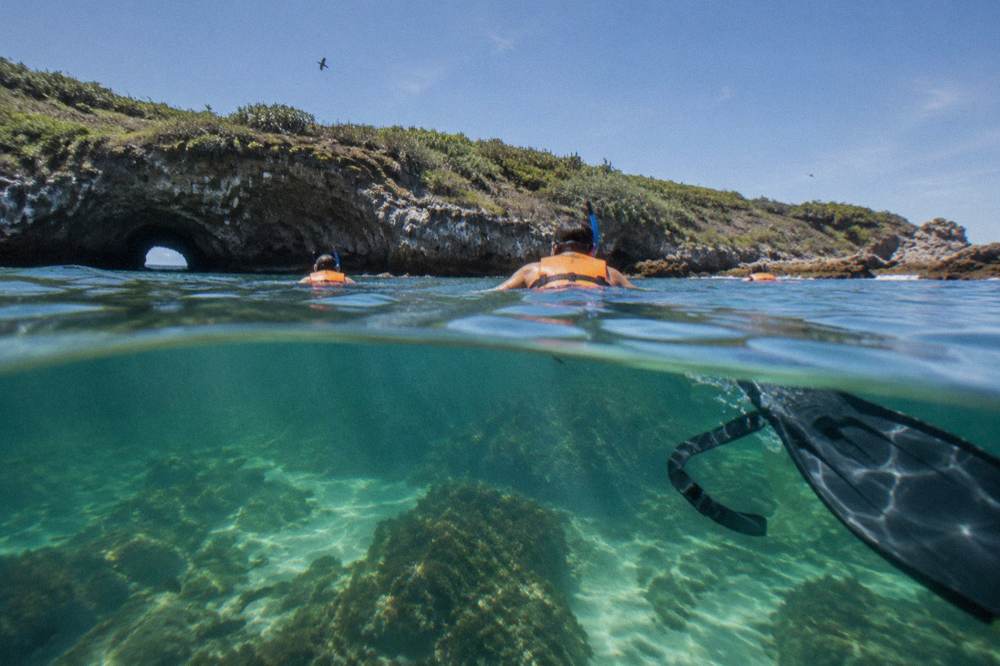 Snorkelers wearing life vests floating above a coral reef in clear green water