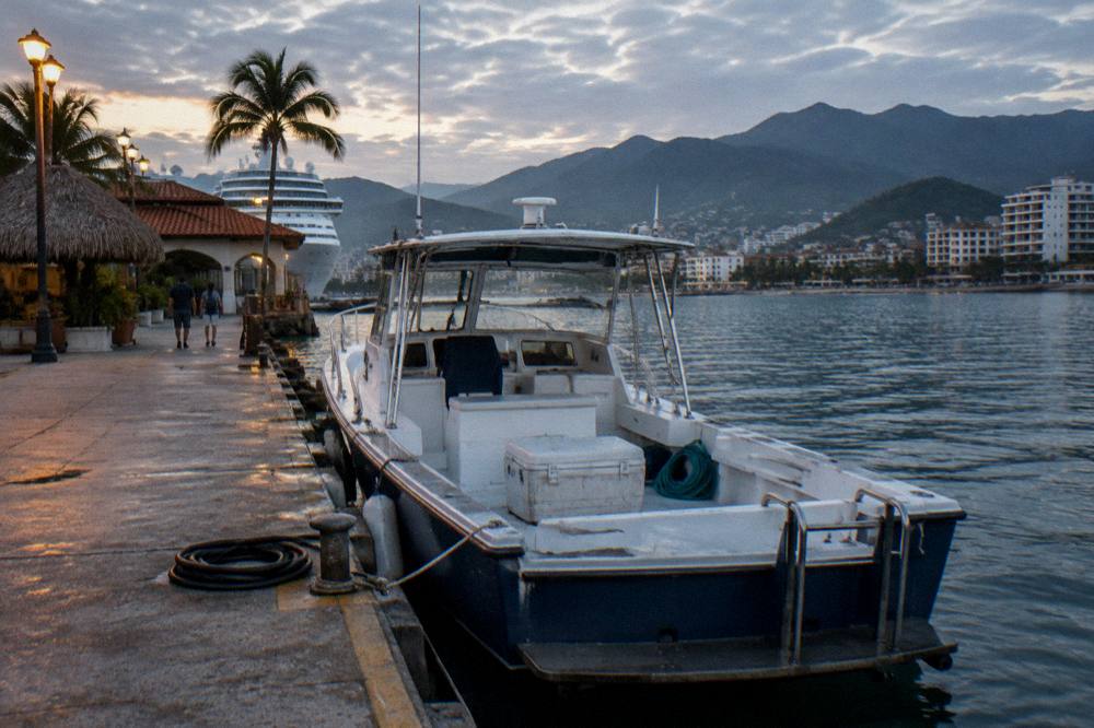 Private boat at a marina dock in early morning light before a whale-watching departure