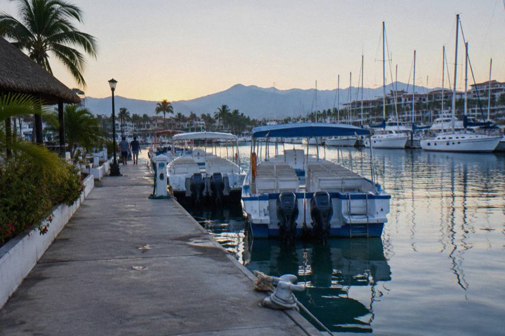 Tour boats tied along a wooden dock at a marina in early morning light
