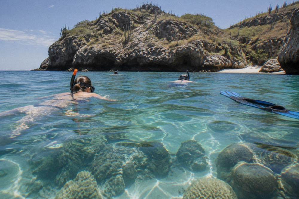 Snorkelers floating over a shallow coral reef in clear water
