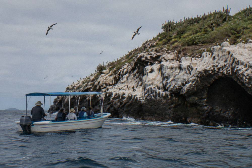 A park ranger boat near rocky island cliffs with seabirds circling