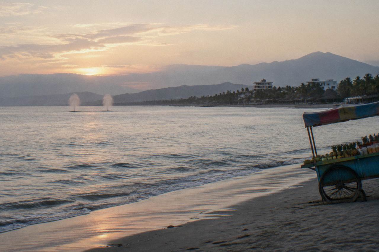 Flat morning water in Banderas Bay with humpback whale spouts in the distance