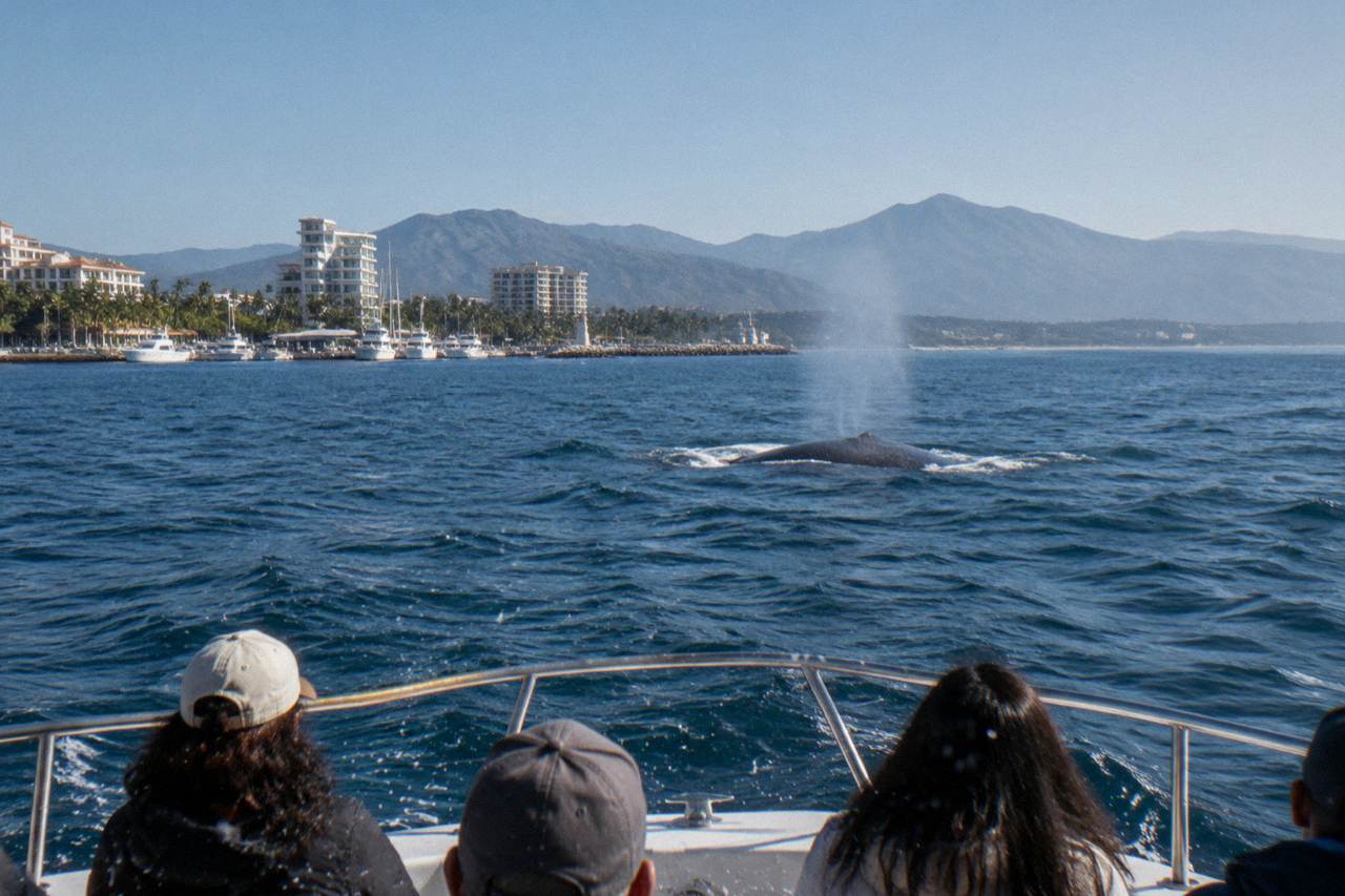 A whale watching boat crossing the open water of Banderas Bay under a wide morning sky