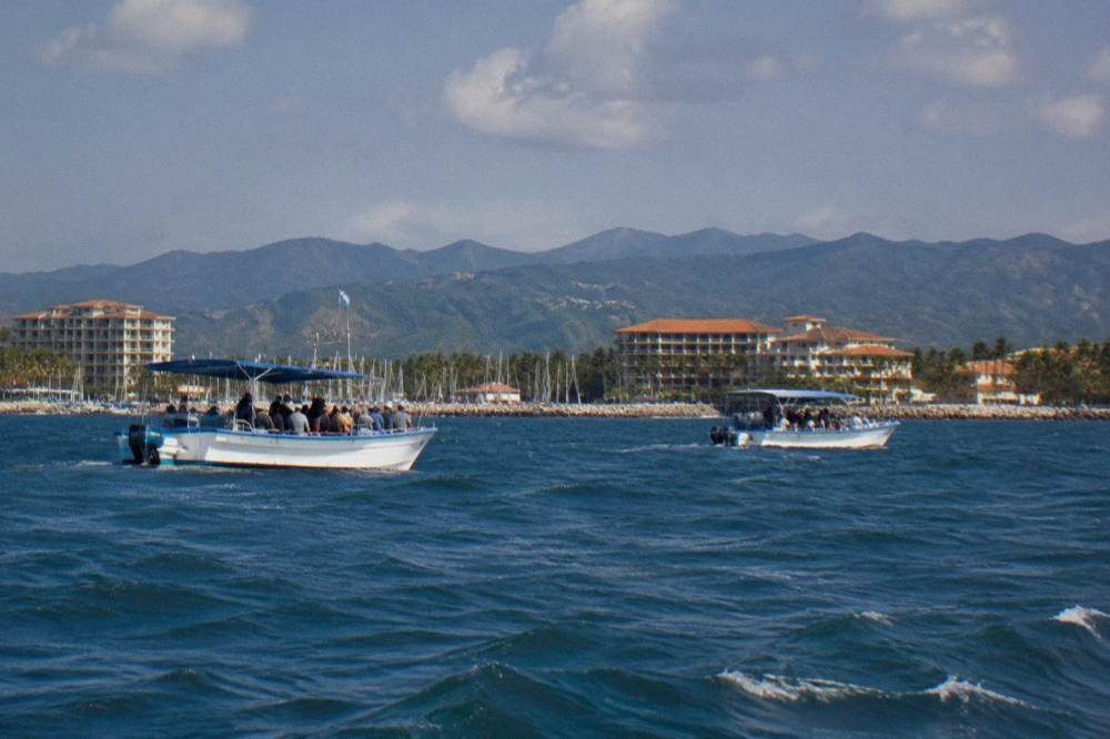 Authorized whale watching boats holding position in open water far from the protected shoreline of Banderas Bay