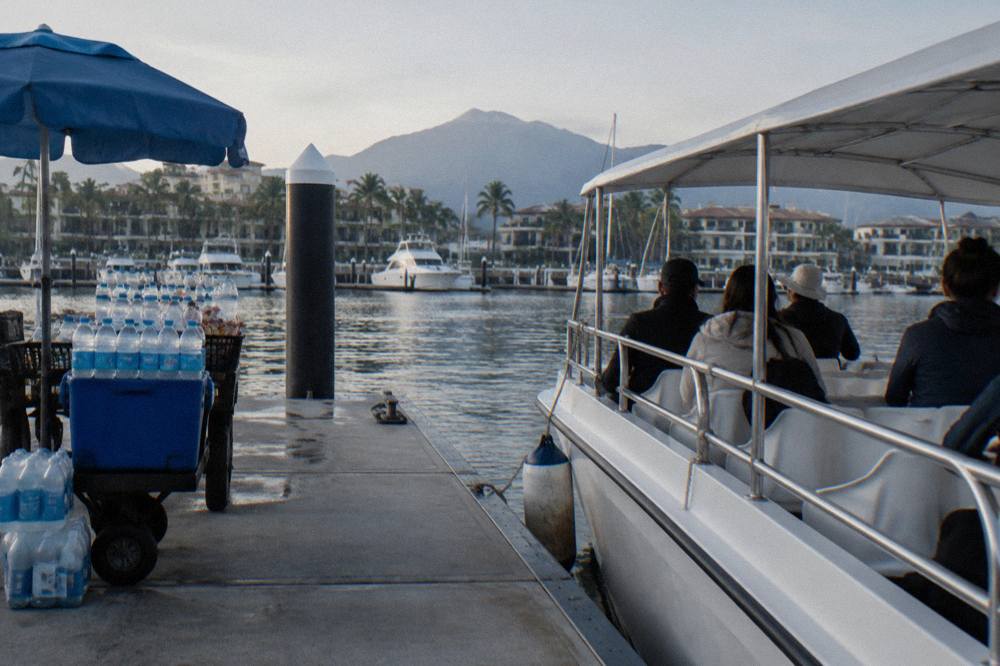 A group of passengers on a whale watching boat looking out at open water